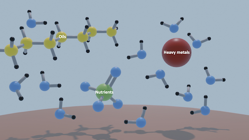 Multifunctional nanostructures can bind with oil, heavy metals, and nutrients from water. 