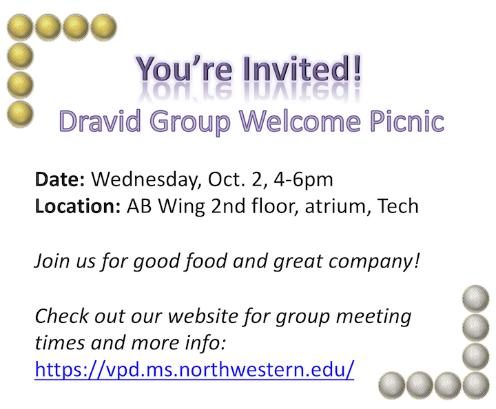 VPD group picnic